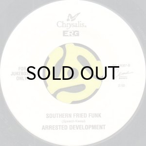 画像2: ARRESTED DEVELOPMENT / UNITED FRONT b/w SOUTHERN FRIED FUNK (45's) (2)