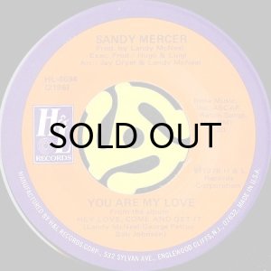 画像2: SANDY MERCER / PLAY WITH ME b/w YOU ARE MY LOVE (45's) (2)