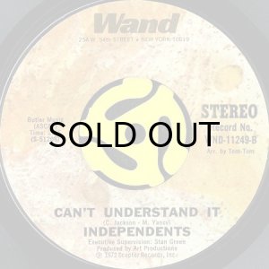 画像2: THE INDEPENDENTS / I JUST WANT TO BE THERE b/w CAN'T UNDERSTAND IT (45's) (2)