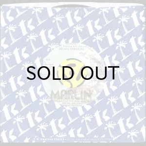 画像3: MICHAL URBANIAK / ECSTASY (45's) (PROMO) (3)