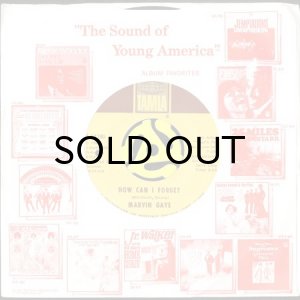 画像3: MARVIN GAYE / HOW CAN I FORGET b/w GONNA GIVE HER ALL THE LOVE I'VE GOT (45's) (3)