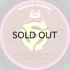 画像2: JIMMY NORMAN / I WANNA MAKE LOVE TO YOU (45's) (PROMO) (2)