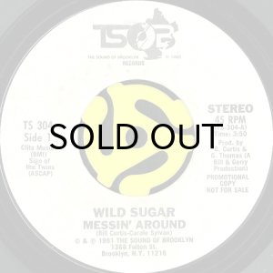画像2: WILD SUGAR / BRING IT HERE (45's) (WHITE PROMO) (2)