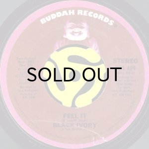 画像2: BLACK IVORY / FEEL IT (45's) (PROMO) (2)