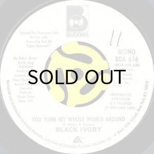 画像1: BLACK IVORY / YOU TURN MY WHOLE WORLD AROUND (45's) (WHITE PROMO) (1)