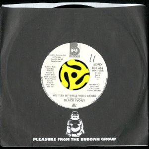 画像3: BLACK IVORY / YOU TURN MY WHOLE WORLD AROUND (45's) (WHITE PROMO) (3)