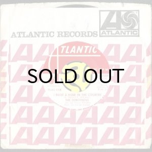 画像3: THE DEMOTRONS / HOME IN THE COUNTRY b/w I DON'T WANT TO PLAY NO MORE (45's) (PROMO) (3)