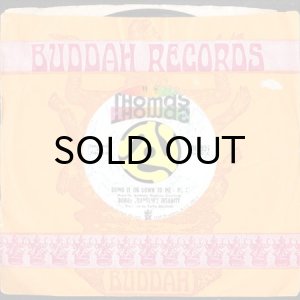 画像3: BOBBY FRANKLIN'S INSANITY / BRING IT ON DOWN TO ME (45's) (3)