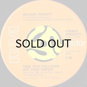 画像2: WILSON PICKETT / SOFT SOUL BOOGIE WOOGIE b/w TAKE THAT POLLUTION OUT YOUR THROAT (45's) (2)