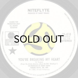 画像2: NITEFLYTE / YOU'RE BREAKING MY HEART (45's) (WHITE PROMO) (2)