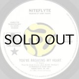 niteflyte you are 45 カンパニースリーブ niteflyte you are 45 カンパニースリーブ - メルカリ