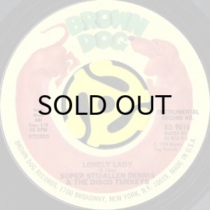 画像1: SUPER STU/ALLEN DENNIS & THE DISCO TURKEYS / LONELY LADY (JOHN WHITE / HELP US OUT) (45's) (1)