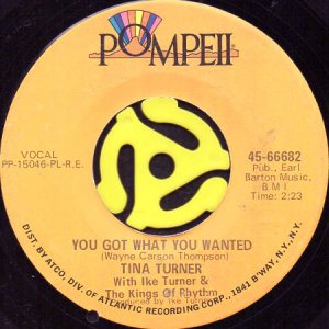 画像1: TINA TURNER WITH IKE TURNER & THE KINGS OF RHYTHM / YOU GOT WHAT YOU WANTED (45's) (1)