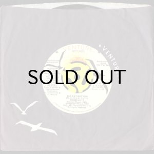 画像3: REDD HOTT / BIG FAT BOTTOM (45's) (PROMO) (3)