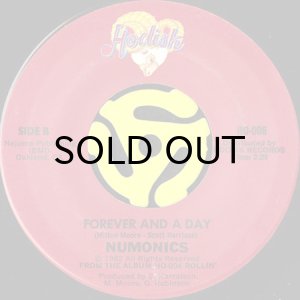 画像2: NUMONICS / YOU LIED b/w FOREVER AND A DAY (45's) (2)