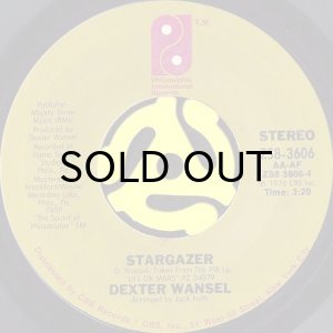 画像1: DEXTER WANSEL / STARGAZER (45's) (1)