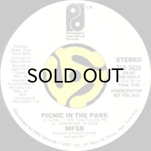 画像2: MFSB / PICNIC IN THE PARK (45's) (WHITE PROMO) (2)