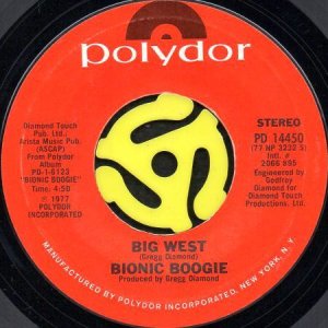 画像2: BIONIC BOOGIE / RISKY CHANGES (45's) (2)