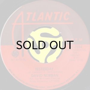 画像2: DAVID NEWMAN / THE THIRTEENTH FLOOR b/w YESTERDAY (45's) (2)