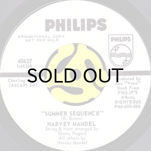 画像2: HARVEY MANDEL / MOONTANG (45's) (WHITE PROMO) (2)