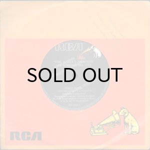 画像3: THE JUDGE'S NEPHEWS / DISCO MAMA (45's) (3)