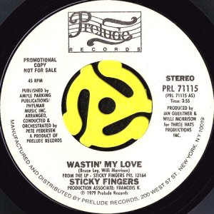 画像1: STICKY FINGERS / WASTIN' MY LOVE b/w PARTY SONG (45's) (WHITE PROMO) (1)