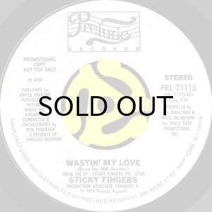 画像1: STICKY FINGERS / WASTIN' MY LOVE b/w PARTY SONG (45's) (WHITE PROMO) (1)