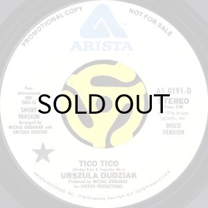 画像2: URSZULA DUDZIAK / TICO TICO (LONG VERSION) (45's) (WHITE PROMO) (2)