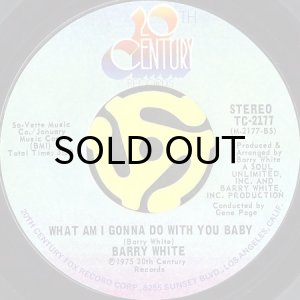 画像2: BARRY WHITE / WHAT AM I GONNA DO WITH YOU (45's) (2)