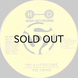 画像2: THE TOPICS / ALL GOOD THINGS MUST END b/w TRY A LITTLE LOVE (45's) (2)