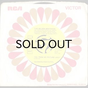 画像3: THE WILSON BROTHERS / THERE HAS BEEN SOME CHANGE b/w YOU TOOK MY FUTURE AWAY (45's) (3)