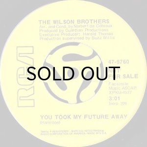 画像2: THE WILSON BROTHERS / THERE HAS BEEN SOME CHANGE b/w YOU TOOK MY FUTURE AWAY (45's) (2)