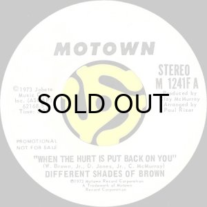 画像2: DIFFERENT SHADES OF BROWN / WHEN THE HURT IS PUT BACK ON YOU (45's) (WHITE PROMO) (2)