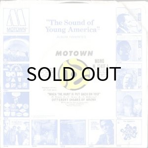 画像3: DIFFERENT SHADES OF BROWN / WHEN THE HURT IS PUT BACK ON YOU (45's) (WHITE PROMO) (3)