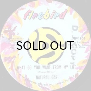 画像2: NATURAL GAS / THE ALL POWERFUL MAN b/w WHAT DO YOU WANT FROM MY LIFE (45's) (2)