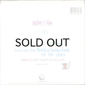 画像2: EDIE BRICKELL & NEW BOHEMIANS / WHAT I AM (45's) (PICTURE SLEEVE) (2)