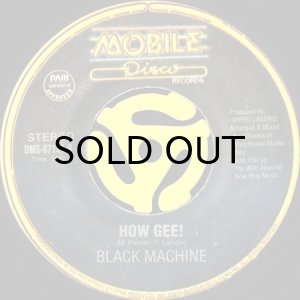新品】$ FUNKYMIX 17 (FM-017) How Gee / Black Machine SWV