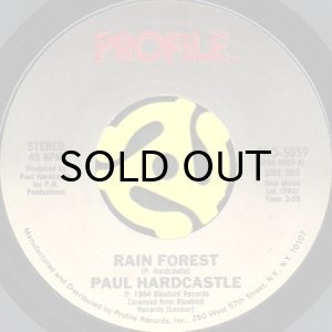 画像1: PAUL HARDCASTLE / RAIN FOREST (45's) (1)