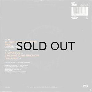 画像2: PUBLIC ENEMY / WELCOME TO THE TERRORDOME (45's) (2)