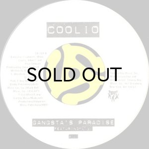 画像2: COOLIO / TOO HOT b/w GANGSTA'S PARADISE feat. L.V. (45's) (2)
