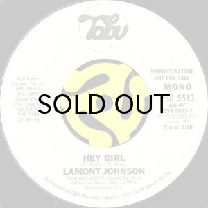 画像1: LAMONT JOHNSON / HEY GIRL (45's) (WHITE PROMO) (1)