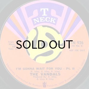 画像2: THE VANDALS / I'M GONNA WAIT FOR YOU (45's) (2)