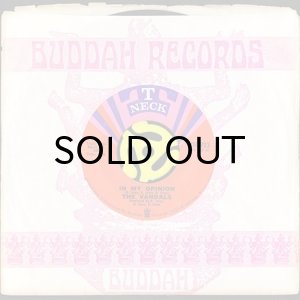 画像3: THE VANDALS / IN MY OPINION (45's) (3)