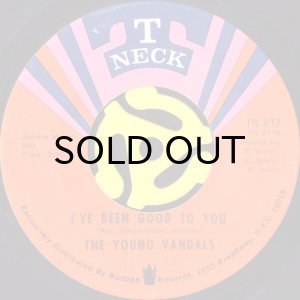 画像1: THE YOUNG VANDALS / TOO BUSY THINKING BOUT MY BABY b/w I'VE BEEN GOOD TO YOU (45's) (1)