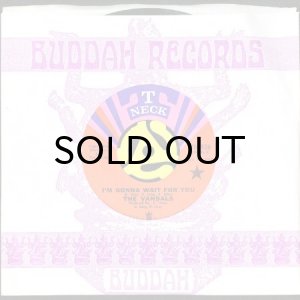 画像3: THE VANDALS / I'M GONNA WAIT FOR YOU (45's) (3)
