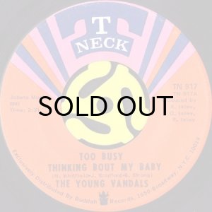 画像2: THE YOUNG VANDALS / TOO BUSY THINKING BOUT MY BABY b/w I'VE BEEN GOOD TO YOU (45's) (2)