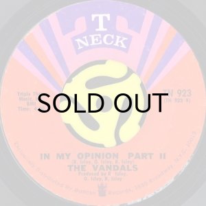 画像2: THE VANDALS / IN MY OPINION (45's) (2)