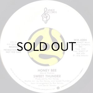 画像1: SWEET THUNDER / HONEY BEE (45's) (PROMO) (1)