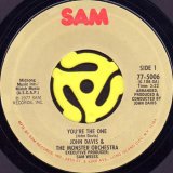 JIMMY MCGRIFF feat.YOLANDA MCCULLOUGH / TAILGUNNER (45's