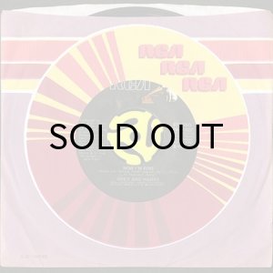 画像3: GREY AND HANKS / NOW I'M FINE (45's) (3)